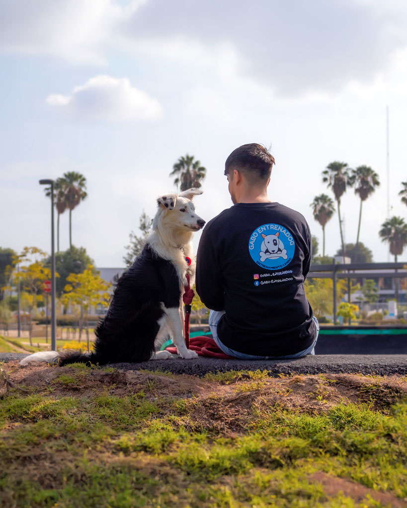 Fotografía de mascotas en Guadalajara